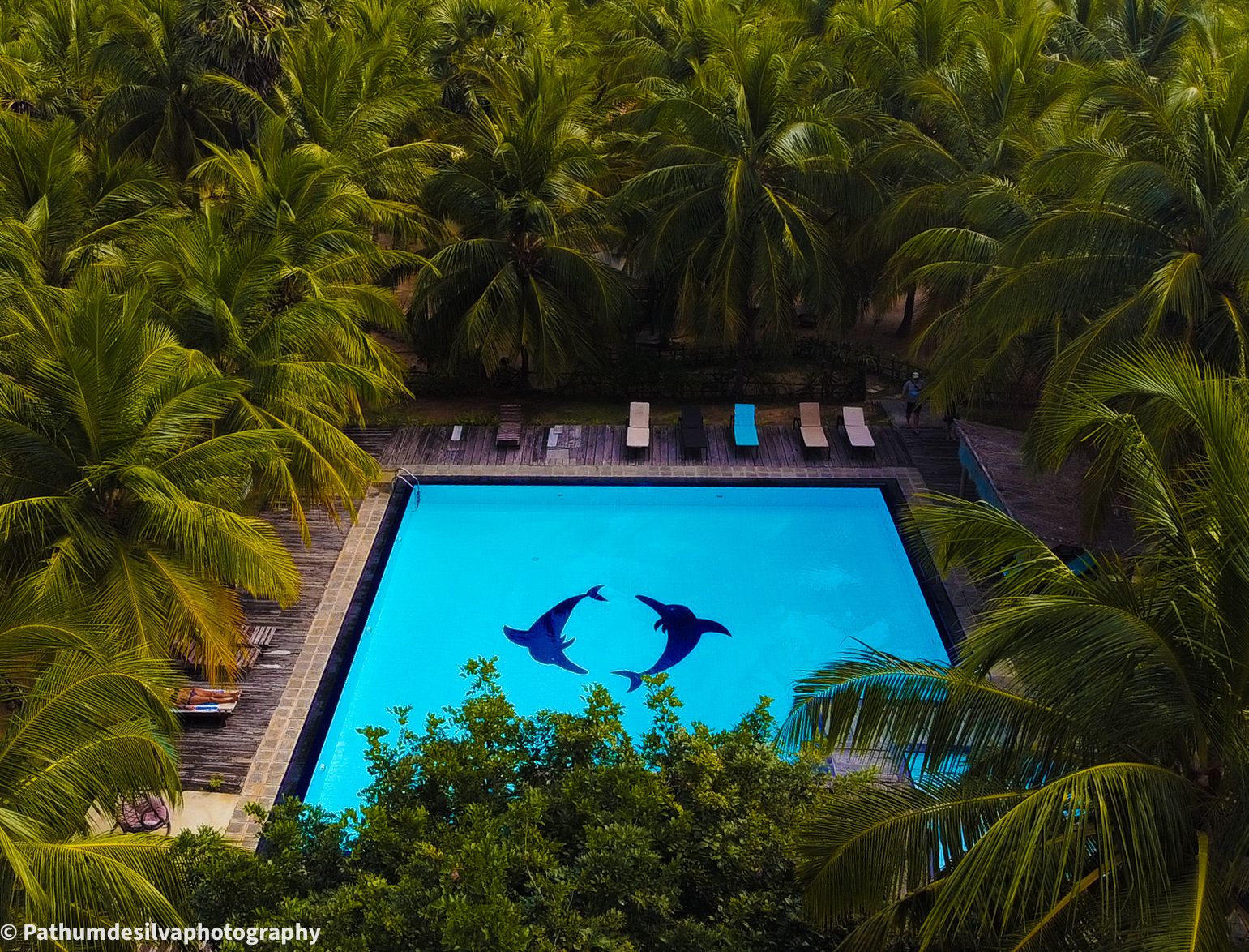 Swimming pool at De Silva